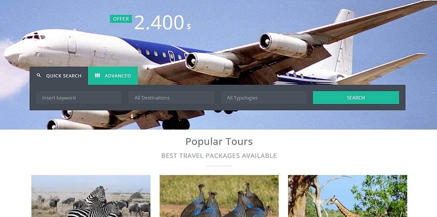 Tours and travel website design nairobi web developers in kenya